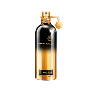 Spicy Aoud EDP 100mL Montale Paris